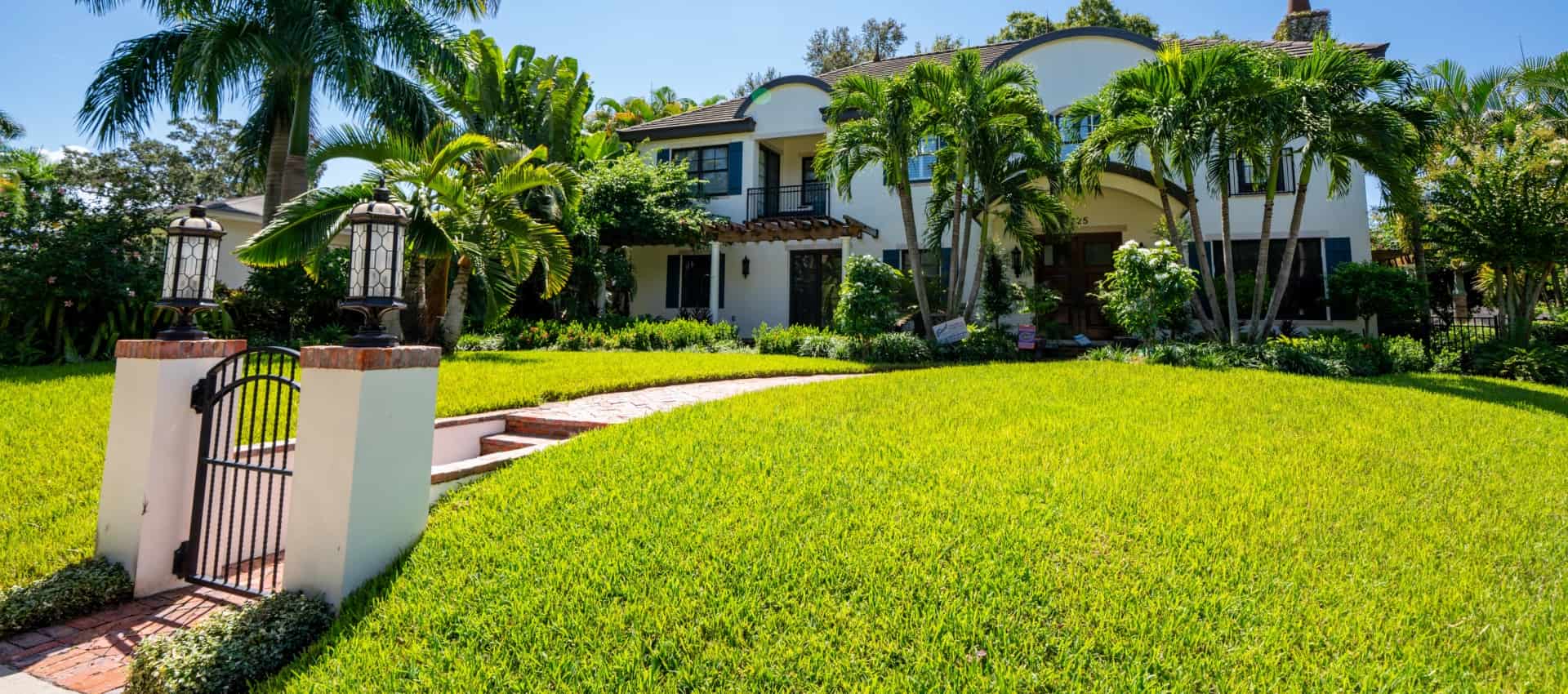 Sunpoint Lawn & Landscape Banner