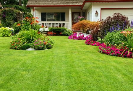 How to Prepare Your Lawn for Florida’s Summer Heat