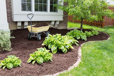 Mulching Service Image